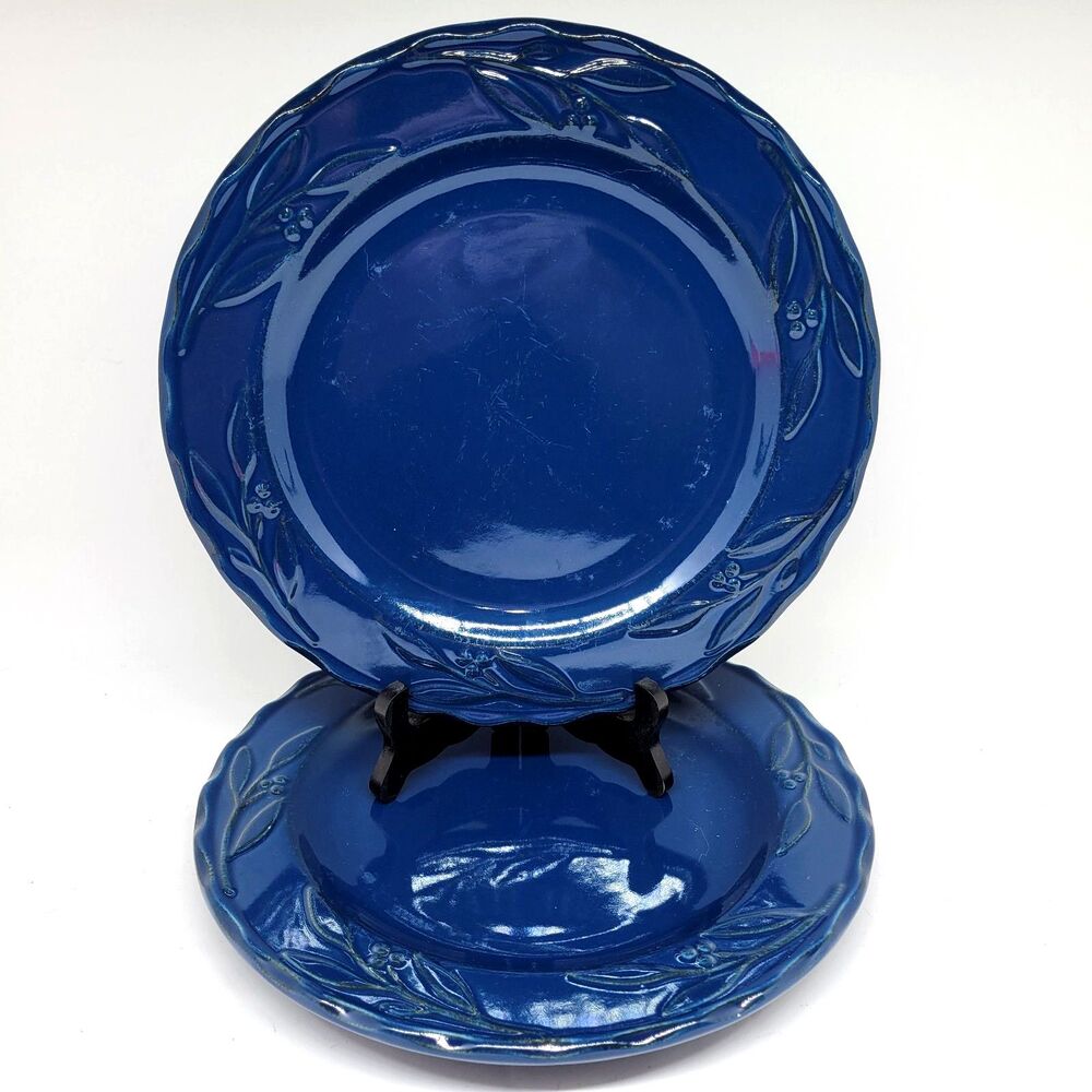 Signature Bella (Indigo) Debby Segura Design Set Of 2 Blue 11" Dinner Plates GUC
